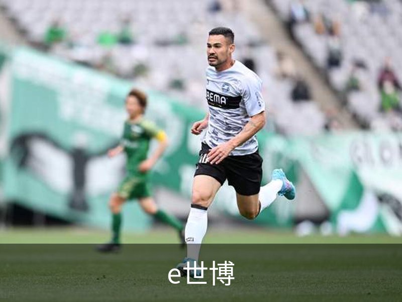 e世博简介